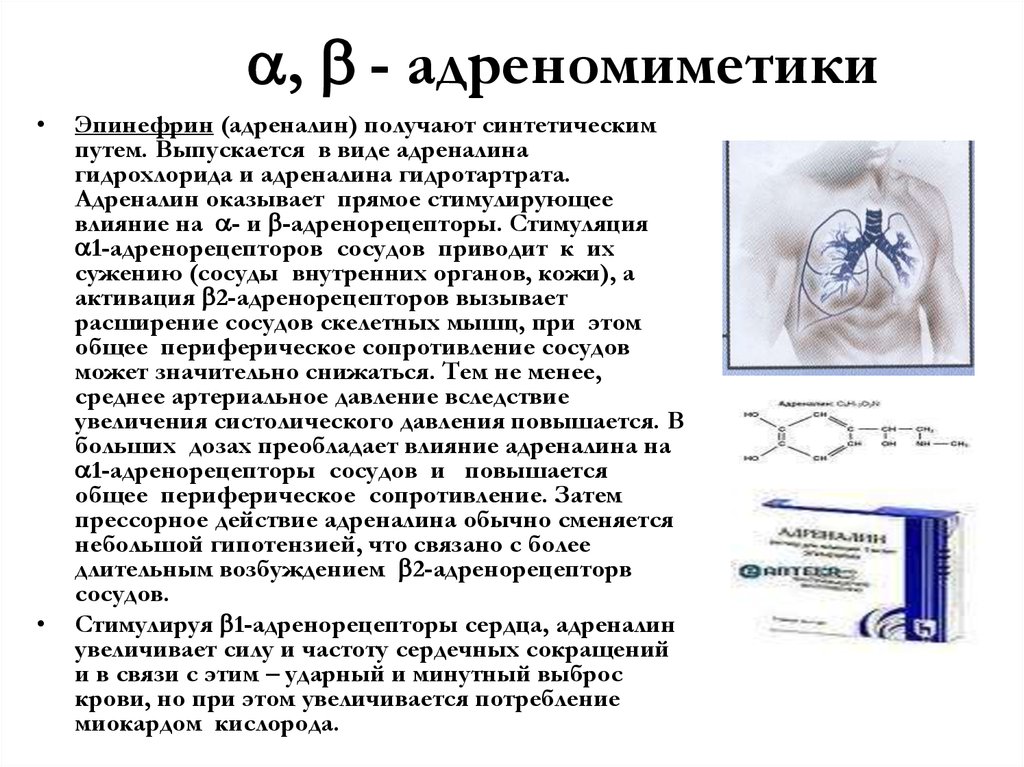 Бета 2 адреномиметики презентация