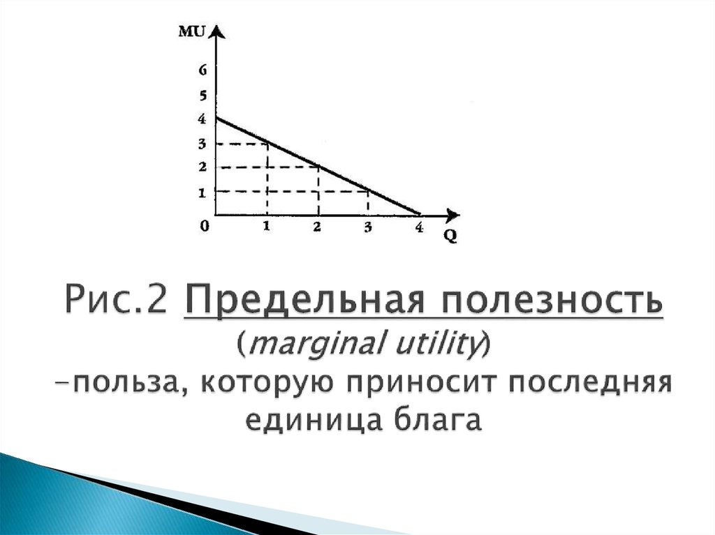 Рис.2 Предельная полезность (marginal utility) -польза, которую приносит последняя единица блага