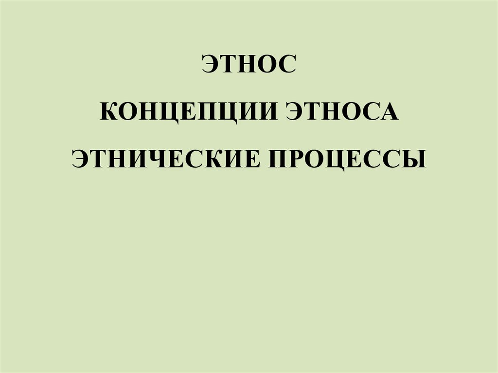 Концепции этничности