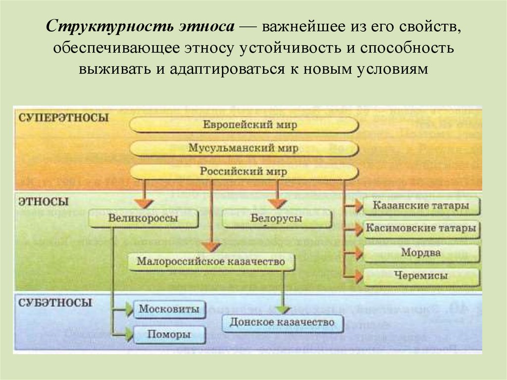 Какие типы этносов