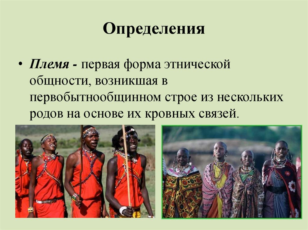 Исторические формы этноса семья племя. Что такое племя кратко. Племя понятие в истории. Исторические формы этнической общности людей племя и. Племя определение по истории.