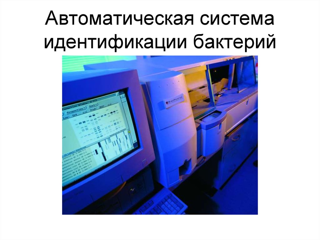 Система выявления. Автоматические системы идентификации бактерий. Анализатор идентификация микроорганизмов. Идентификационные автоматизированные системы.. Компьютерная тест-система для идентификации микроорганизмов.