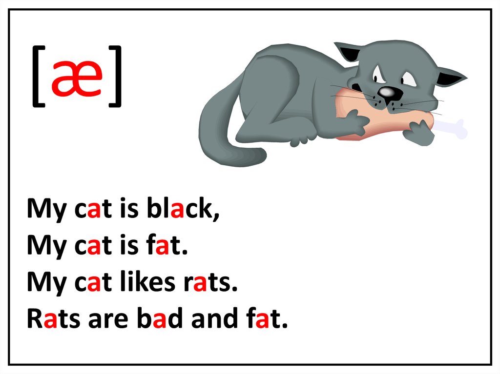 Cats like перевод. My Cat is Black my Cat is fat. Фонетическая зарядка. Фонетическая зарядка на английском языке. Скороговорки на английском.