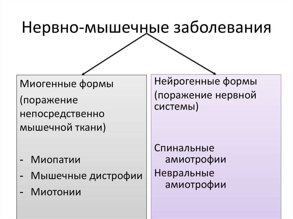 Нервно мышечные патологии