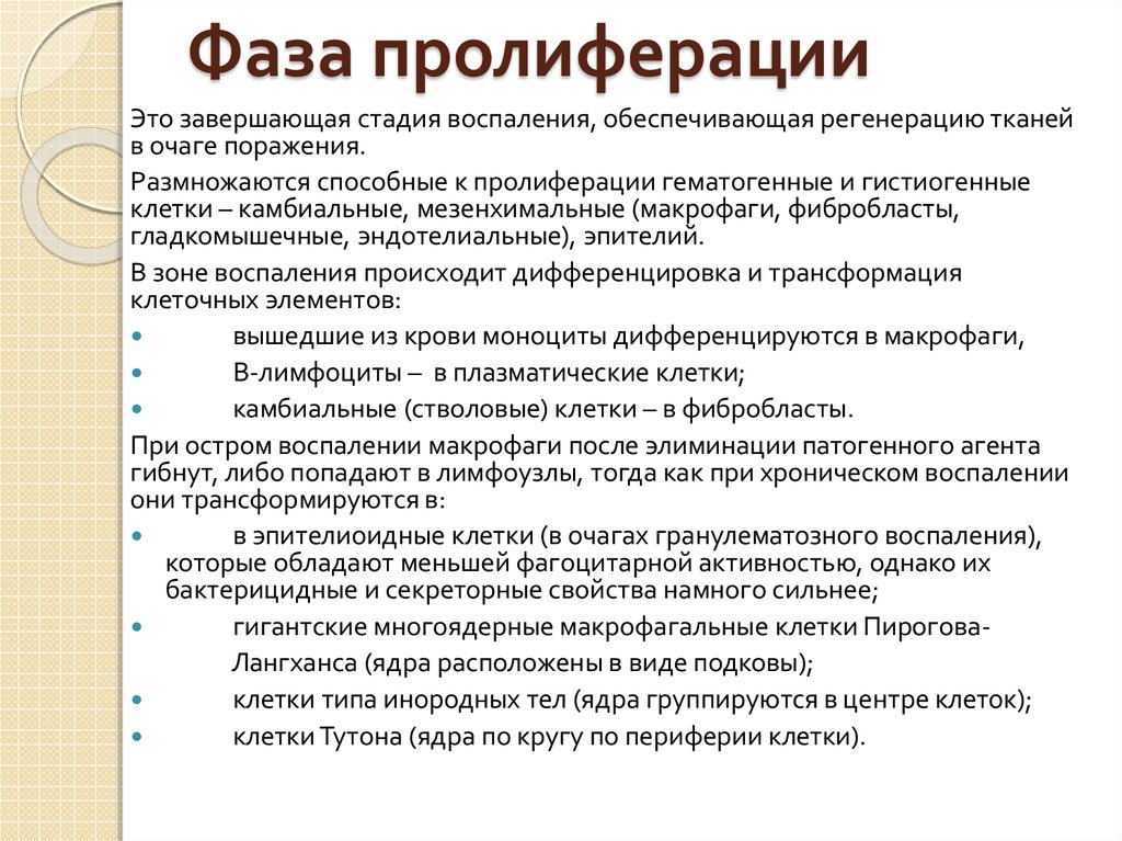 Принцип пролиферации в философию науки ввел