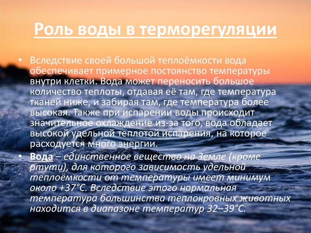 Роль водного. Роль воды в терморегуляции. Роль воды в терморегуляции организма. Вода выполняет функцию терморегуляции благодаря. Терморегуляторная функция воды.