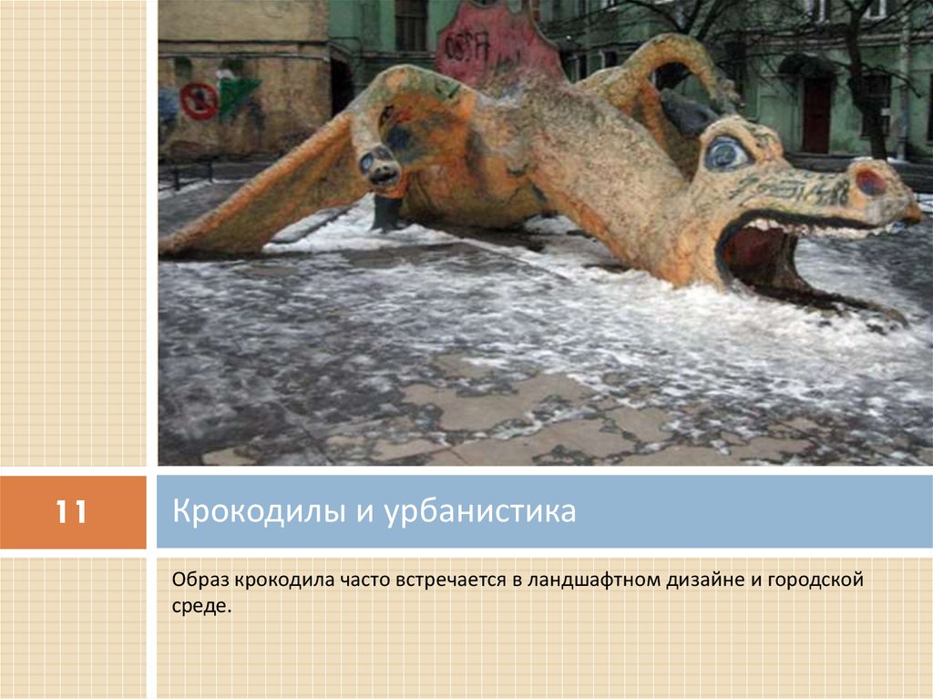 Крокодилы и урбанистика