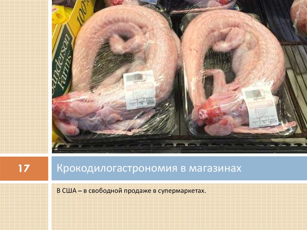 Крокодилогастрономия в магазинах
