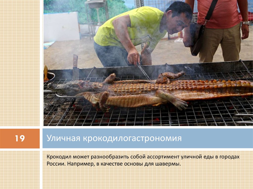 Уличная крокодилогастрономия