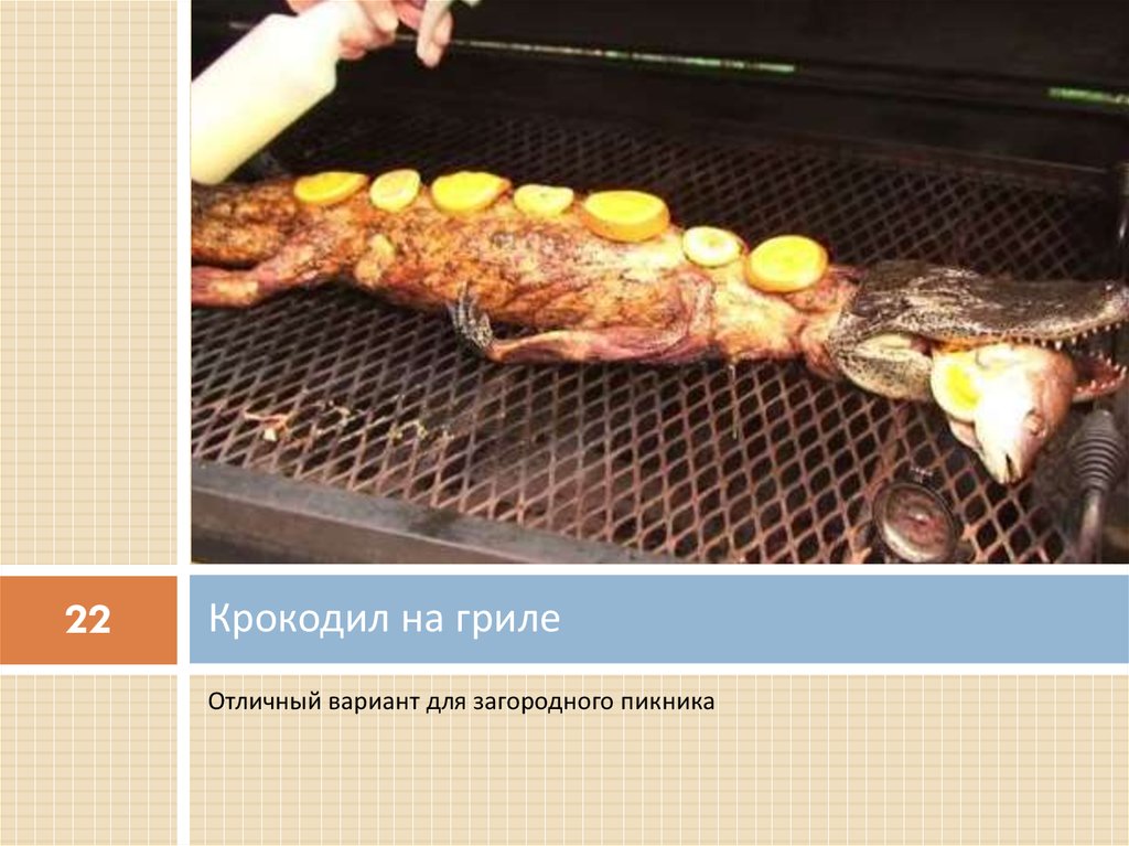 Крокодил на гриле