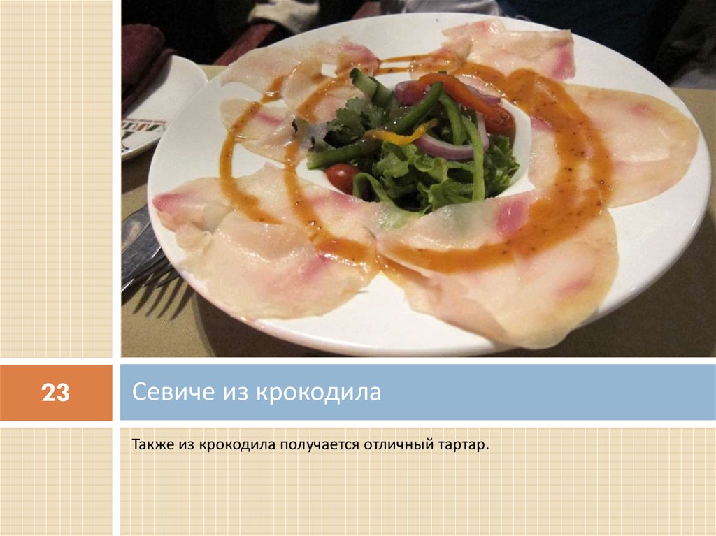 Севиче из крокодила