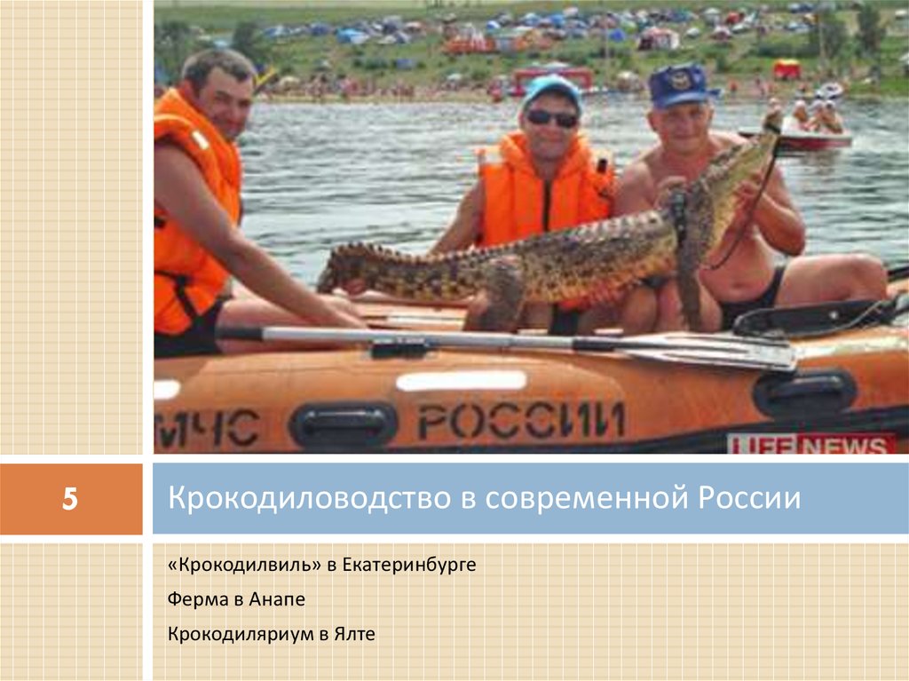 Крокодиловодство в современной России