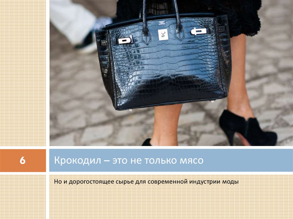 Крокодил – это не только мясо