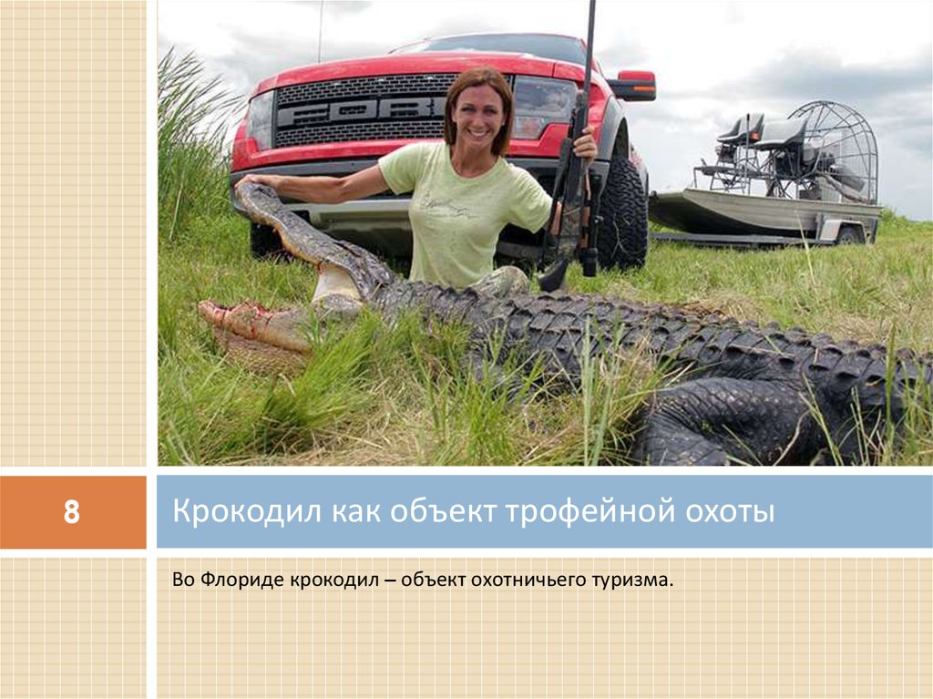 Крокодил как объект трофейной охоты