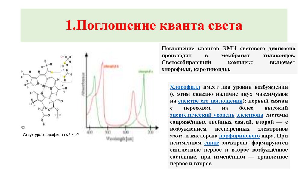 Квантовое электромагнитное излучение