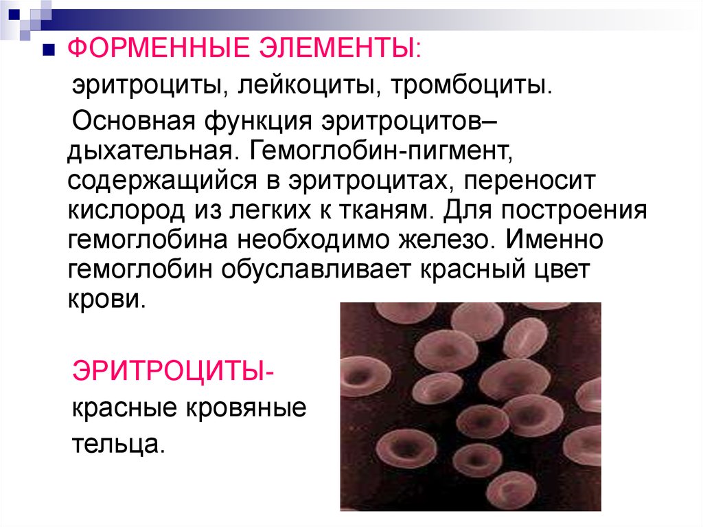 Эритроциты в простате. Форменные элементы функции крови эритроциты. Какие форменные элементы крови содержат гемоглобин. Форменные элементы крови эритроциты и гемоглобин. Форменные элементы лейкоцитов.