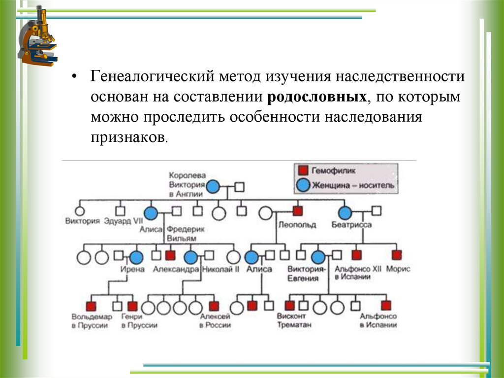 В медицинской генетике широко используется генеалогический метод используя предложенную схему