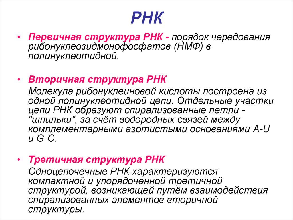 Структурная рнк. Структуры РНК первичная вторичная и третичная. Первичная структура РНК. Первичная и вторичная структура РНК. Структурная организация РНК биохимия.