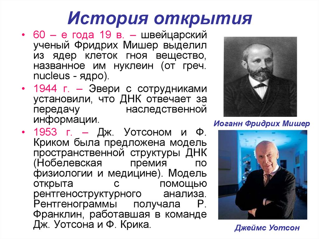 Ученый год открытия. История нуклеиновых кислот Мишер. История открытия ДНК строения. Мишер открытие нуклеиновых кислот. История открытия структуры ДНК.