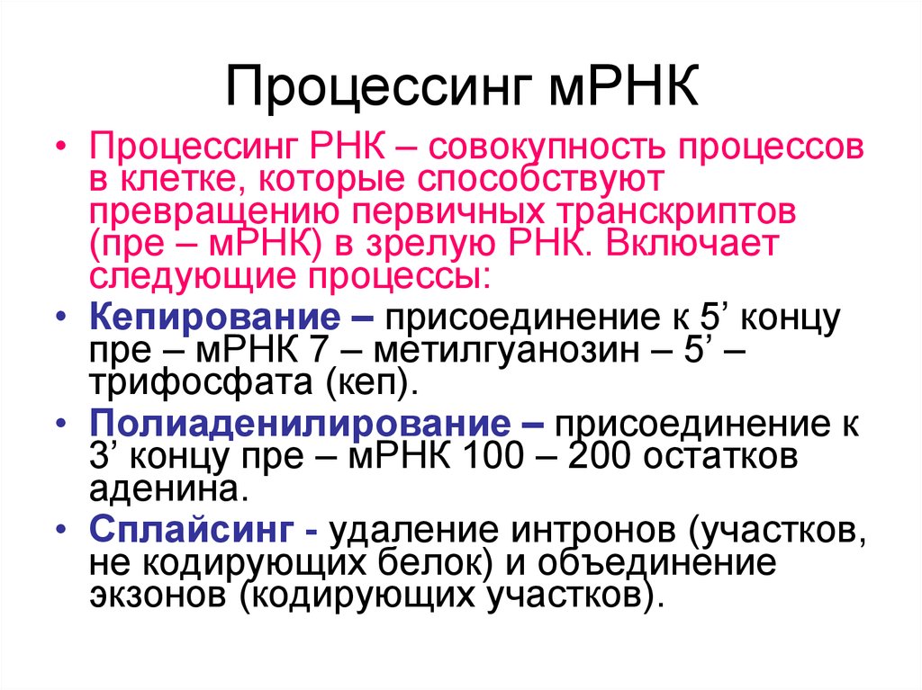 Процессе м. Процессинг РНК У эукариот. Процессинг- созревание матричной РНК. Этапы формирования РНК. Процессинг РНК этапы.