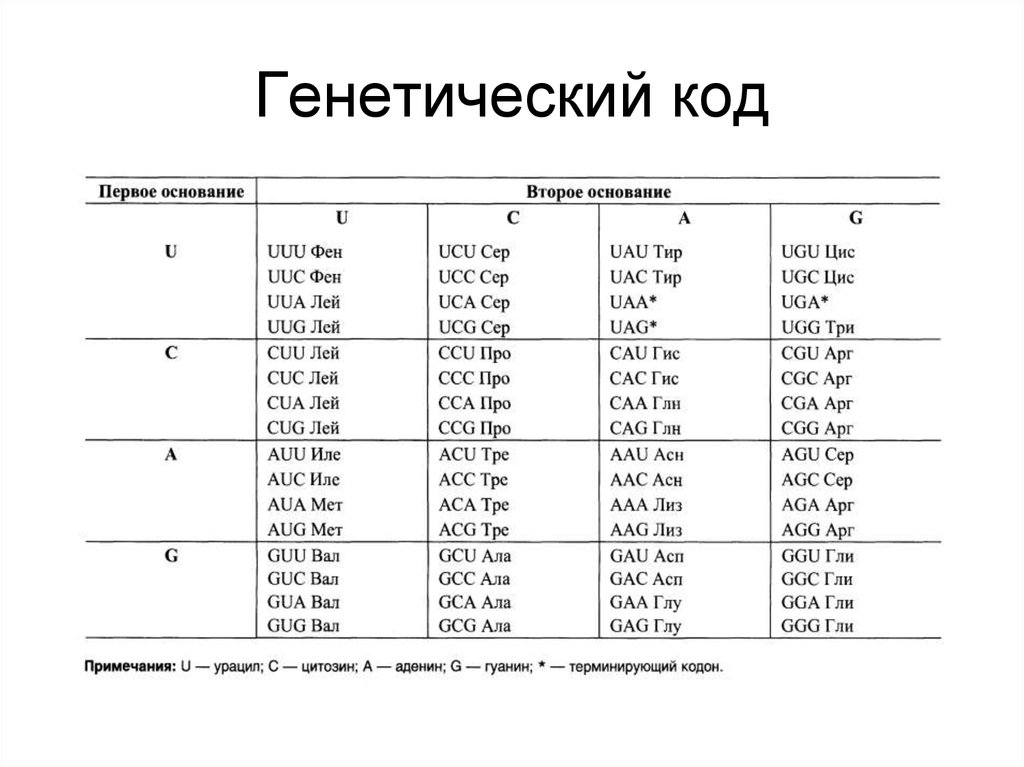 Генетический код определяет. Таблица генетического кода расшифровка. Биологический генетический код. Генетический код это в биологии. Генетический код человека таблица.