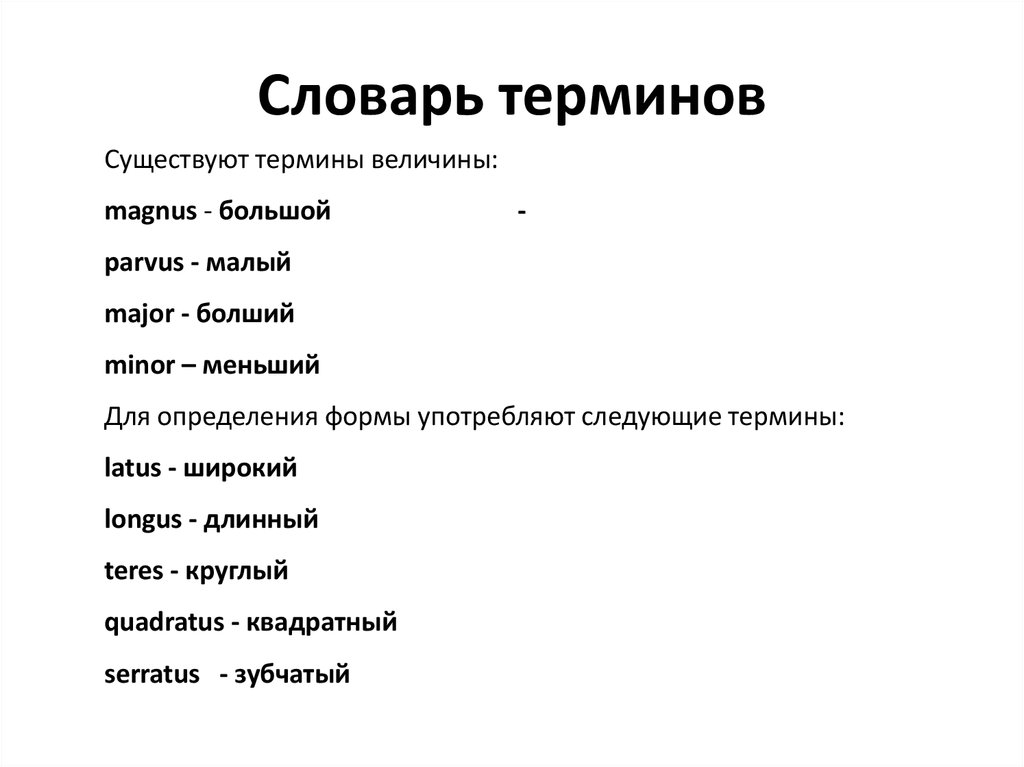 Составьте словарик новых терминов