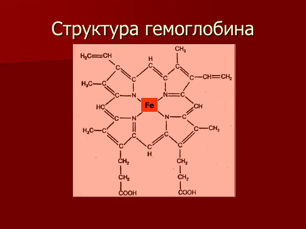 Гемоглобин строение виды. Гемоцианин формула химическая. Химическая структура гемоглобина формула. Гемоглобин и гемоцианин. Схематическое строение гемоглобина.