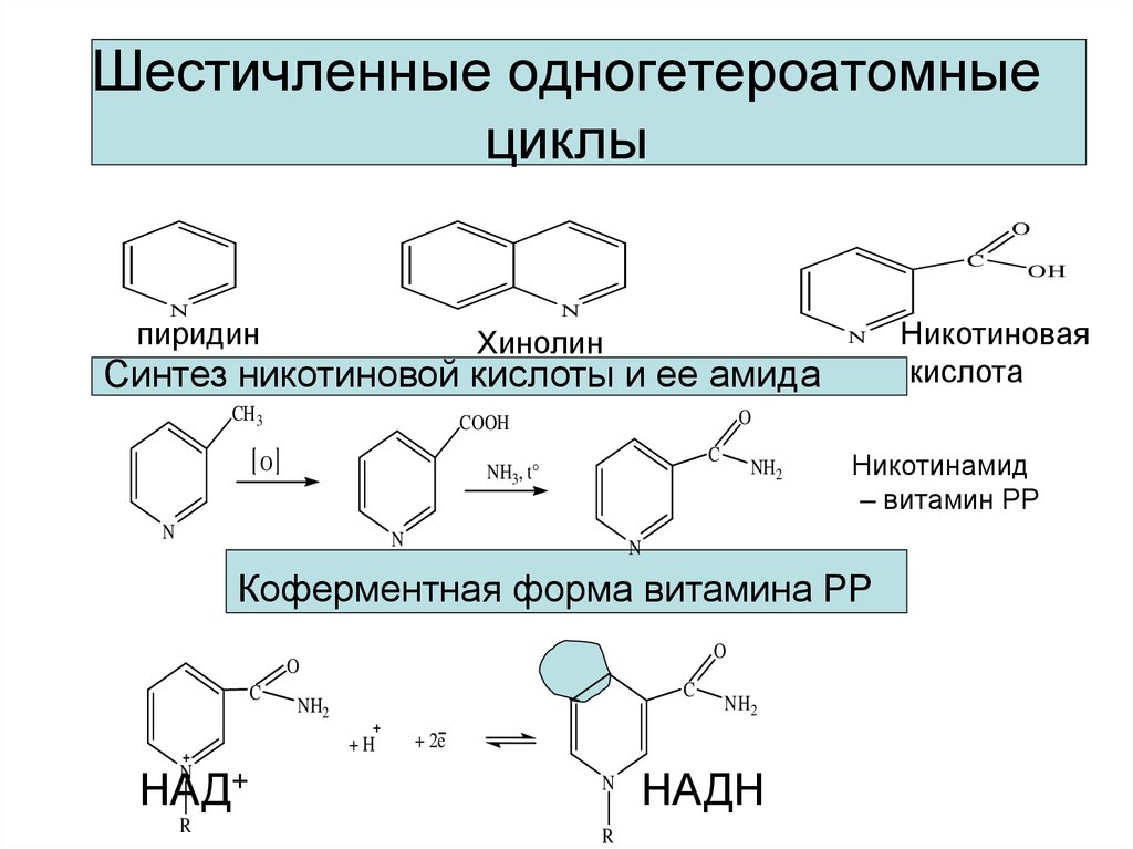 Получение над. Синтез никотиновой кислоты из хинолина. Синтез никотиновой кислоты и ее Амида. Коферментная форма никотиновой кислоты. Амид никотиновой кислоты пиридин.