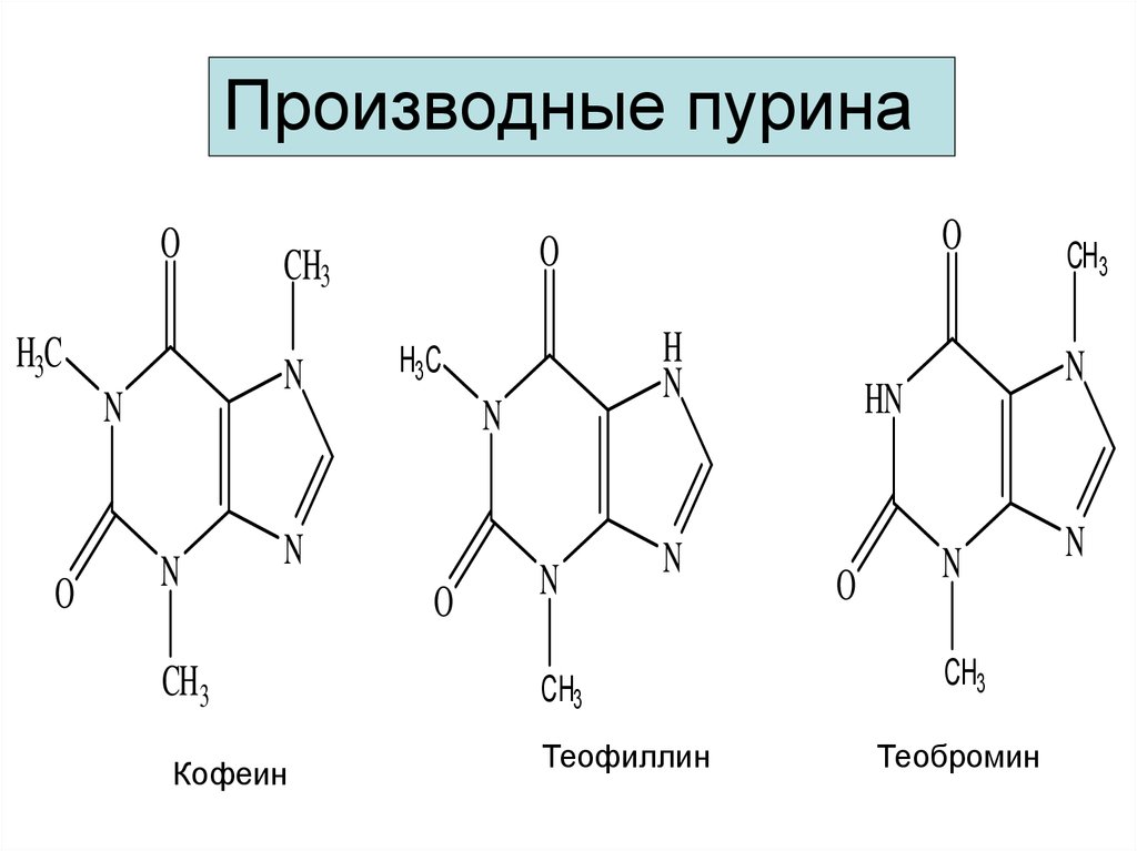 Кофеин гф. Пурин и его производные аденин гуанин. Аденин производное Пурина. Производные ксантина кофеин. Кофеин теобромин теофиллин формулы структурные.