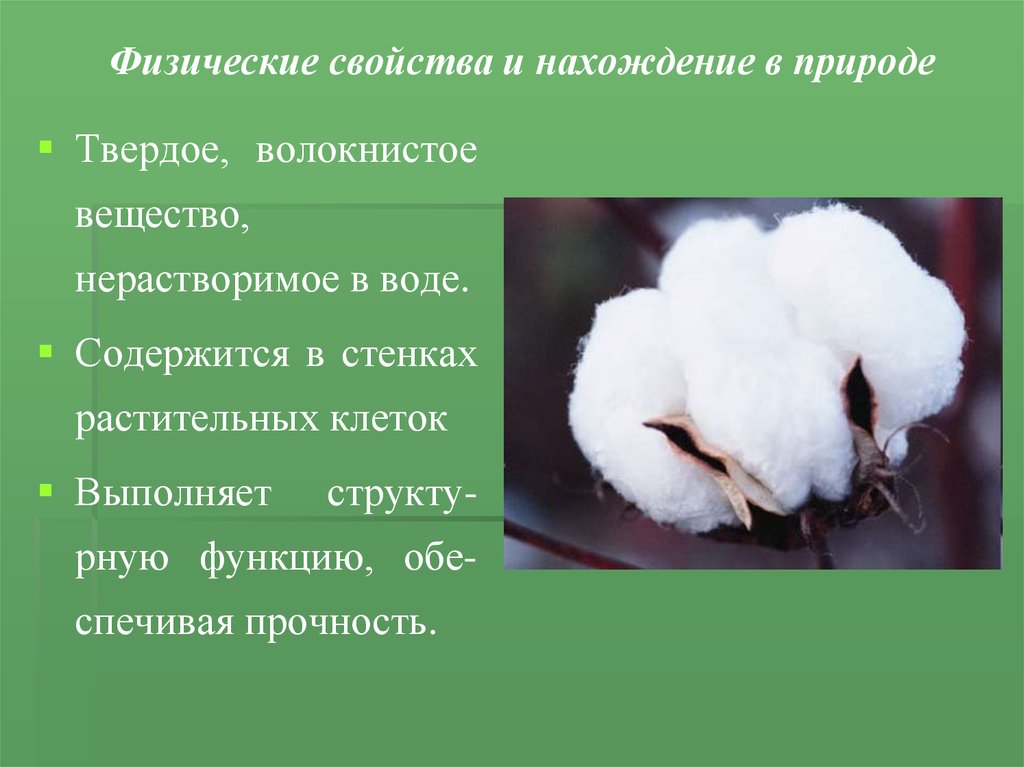 Нахождение в свойстве. Физические свойства и нахождение в природе. Нахождение в природе целлюлозы. Твёрдое волокнистое вещество. Целлюлоза твердое волокнистое вещество.