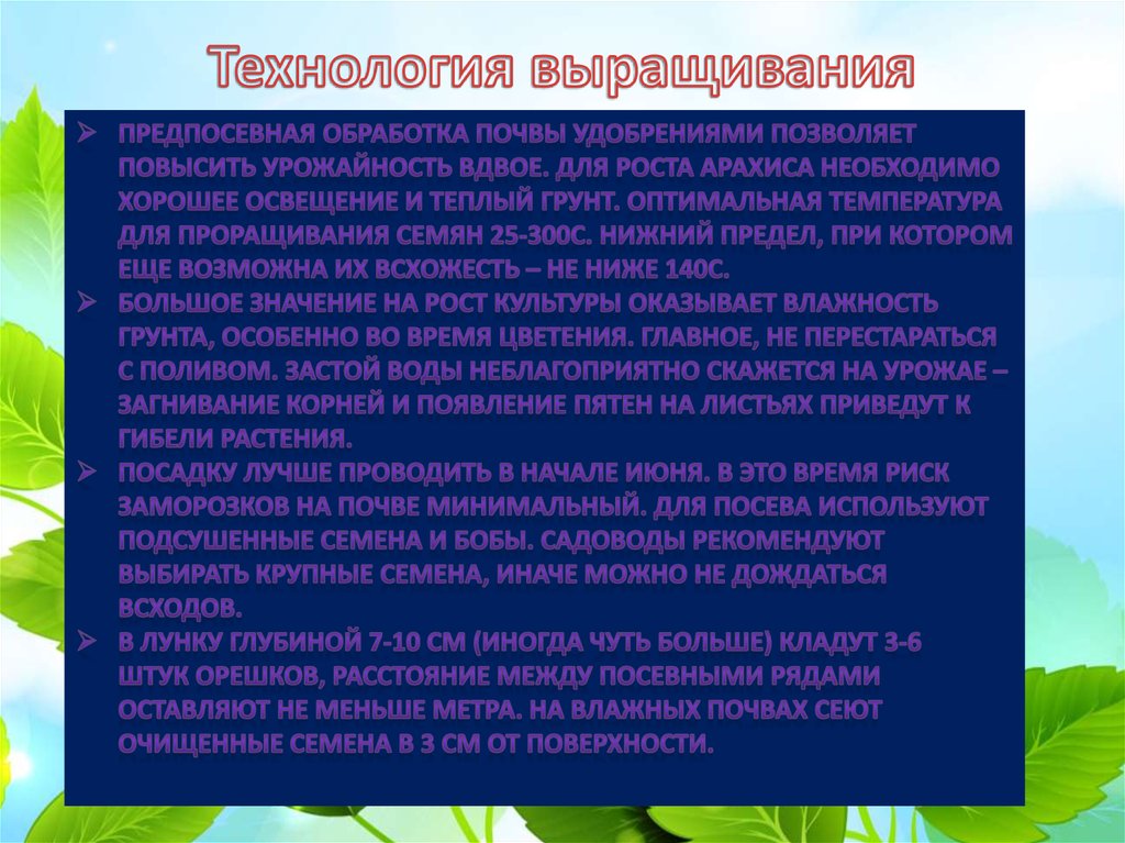 Технология выращивания