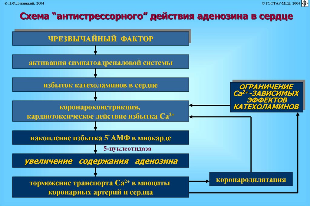 Стресс и адаптация презентация