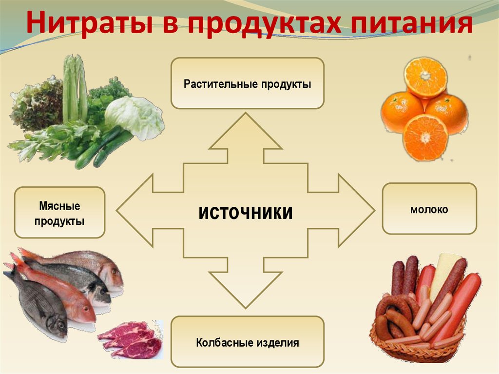 Оптимизация потребления растительной продукции с нитратами презентация