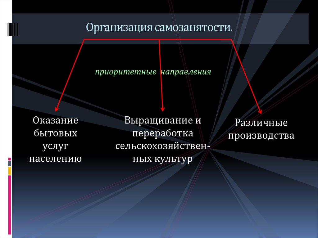 Проект по самозанятости