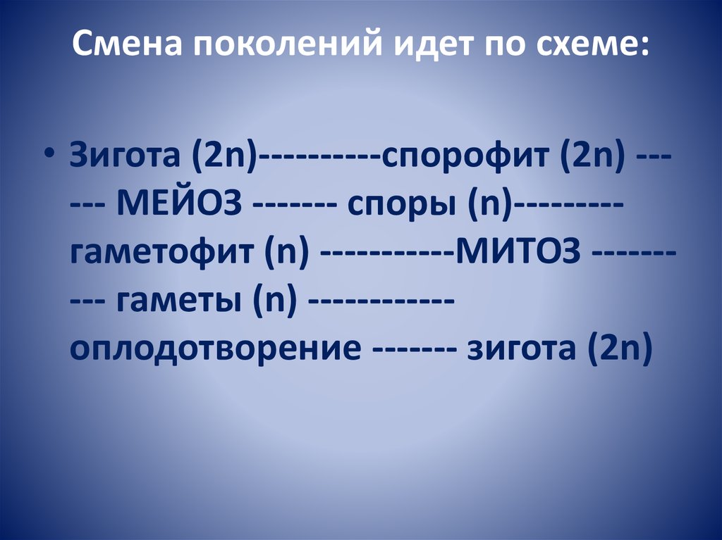 Смена поколений. Смена поколений схема. Смена поколений время. Значение смены поколений. Смена поколений 15 букв.