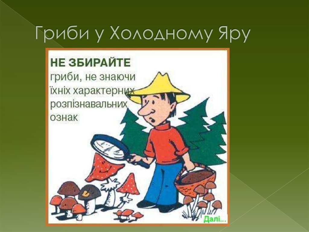 Гриби у Холодному Яру