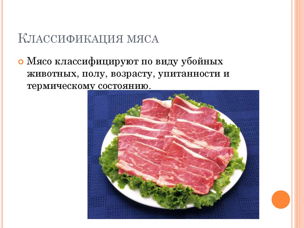 Презентация на тему мясо и мясные продукты