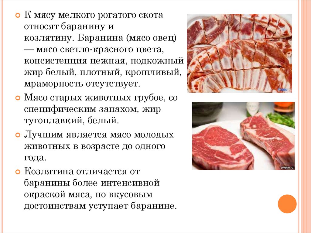Вкус и запах мяса. Мясо мелкого рогатого скота. Виды мяса. Употребление в пищу мяса.