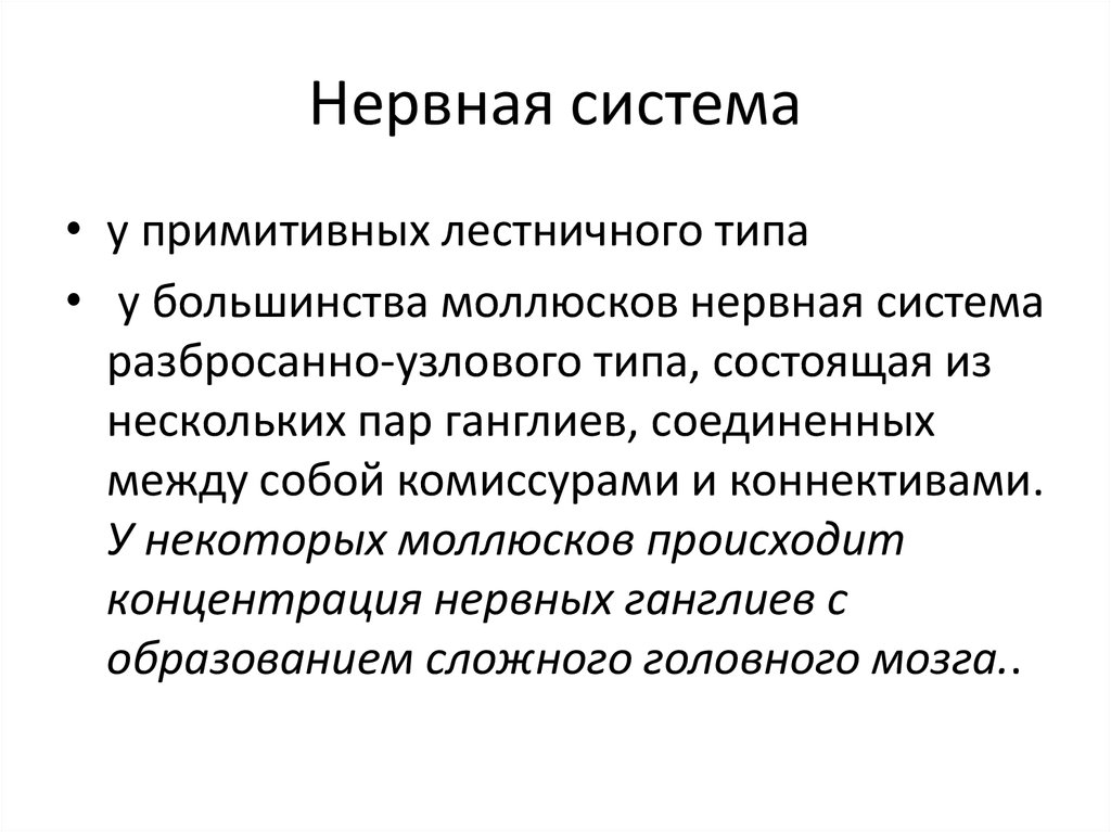 Имеет разбросанно узловую нервную систему. Нервная система разбросанно-узлового типа.