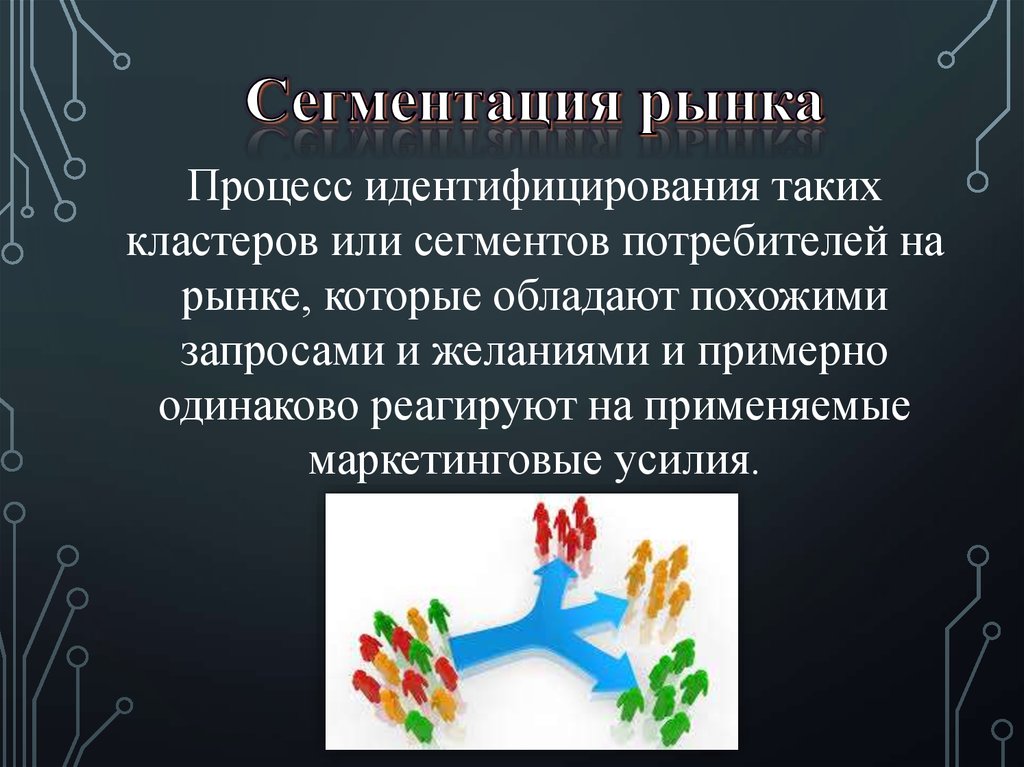 Что такое сегментация. Процесс сегментации рынка. Сегментация тела. Сегментация это в биологии. Множественная сегментация.