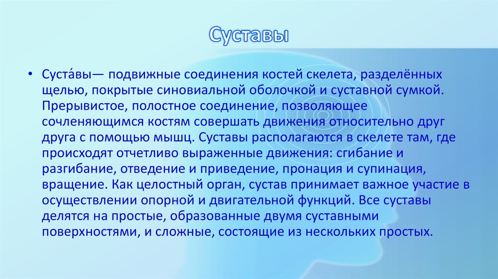 Суставы