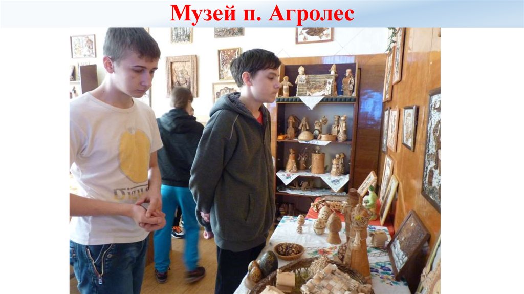 Музей п. Агролес