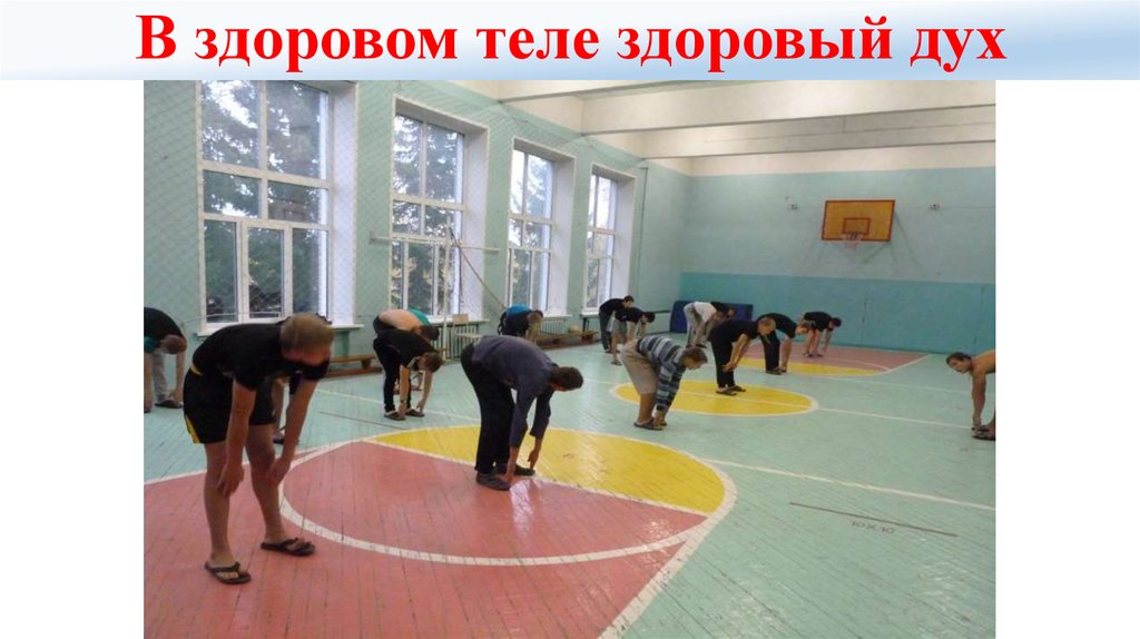 В здоровом теле здоровый дух