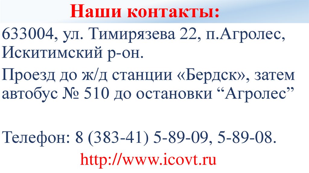 Наши контакты: