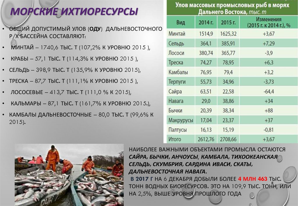 Почему численность промысловых рыб. Объем вылова рыбы. Общий допустимый улов. Вылов рыбы в России по годам.