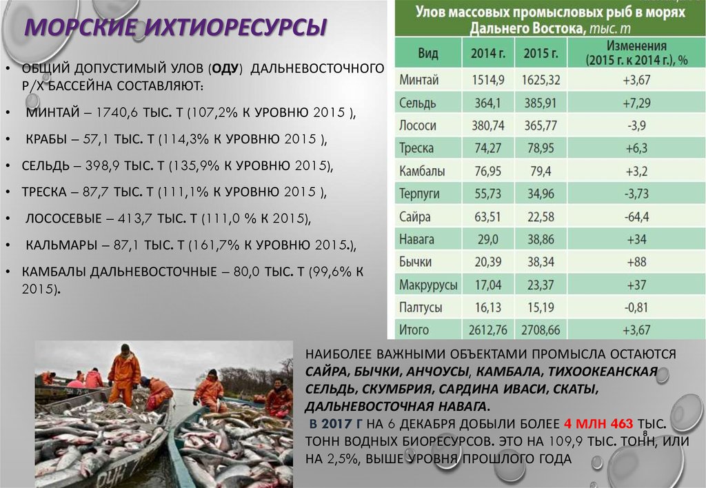 Общий допустимый улов. Объем вылова рыбы. Вылов рыбы в России по годам.