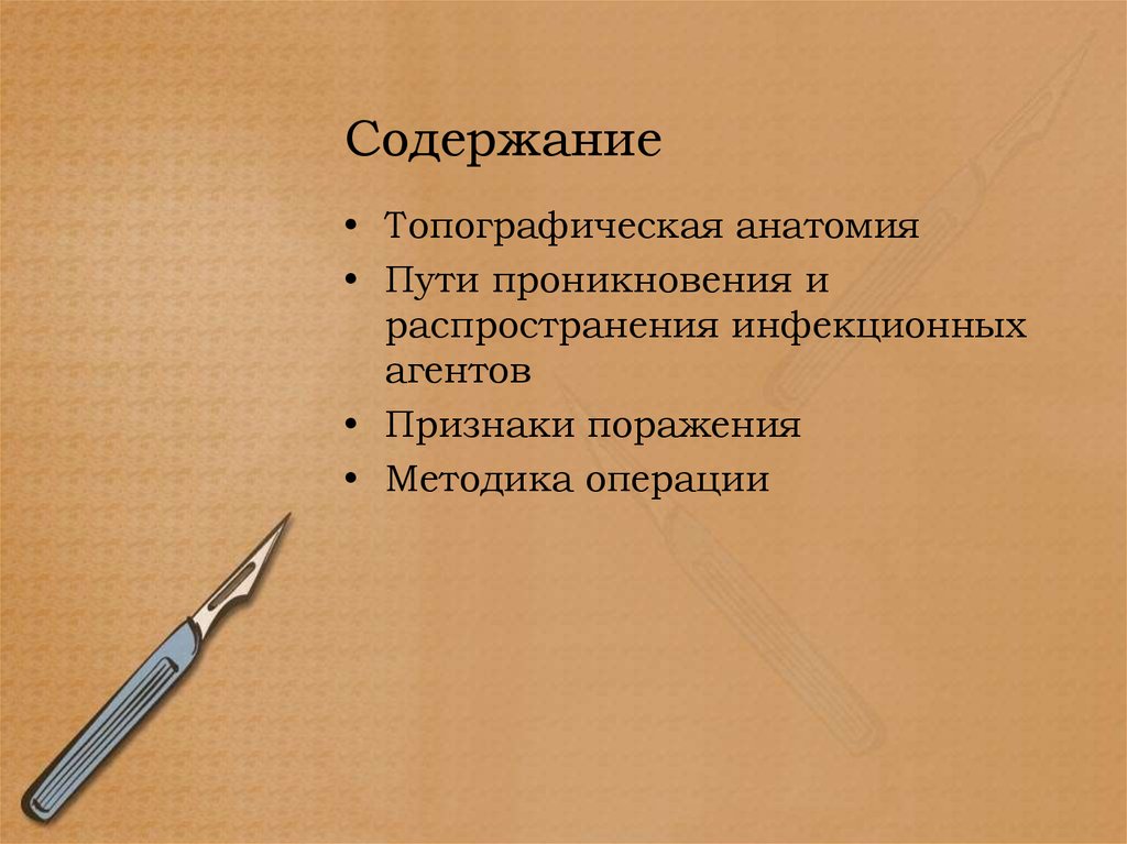 Содержание