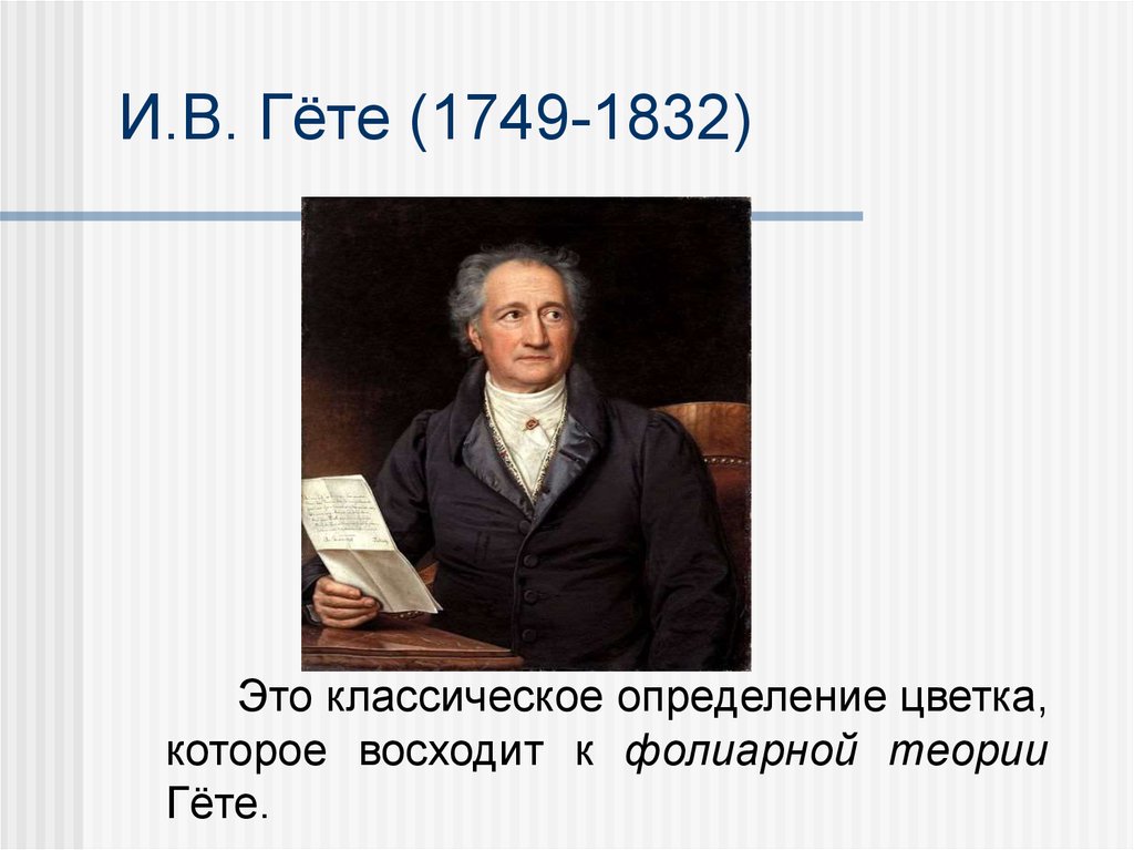 И.В. Гёте (1749-1832)