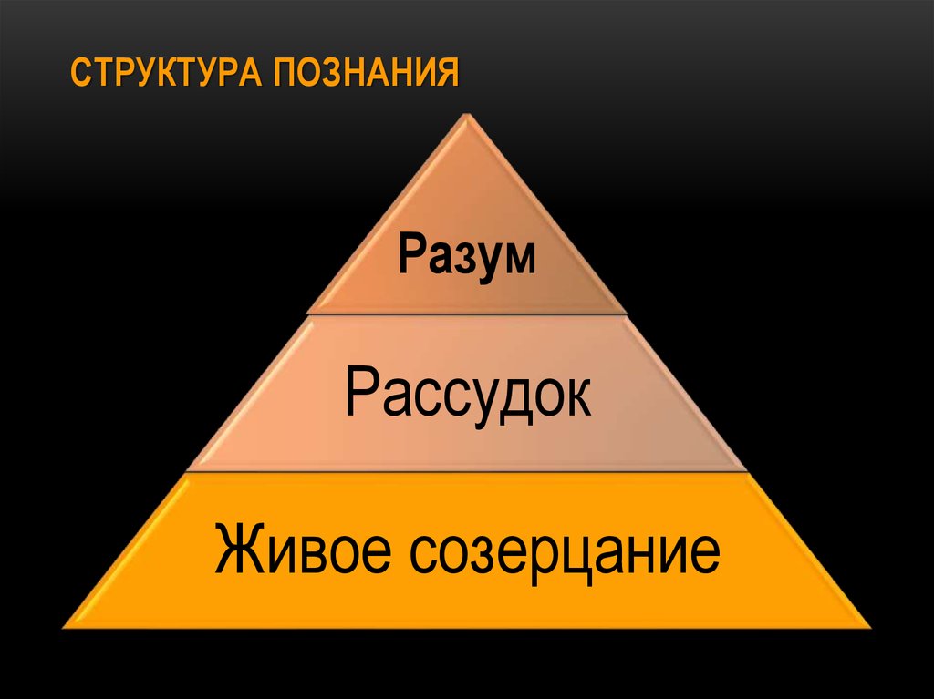 Структура познания в философии схема