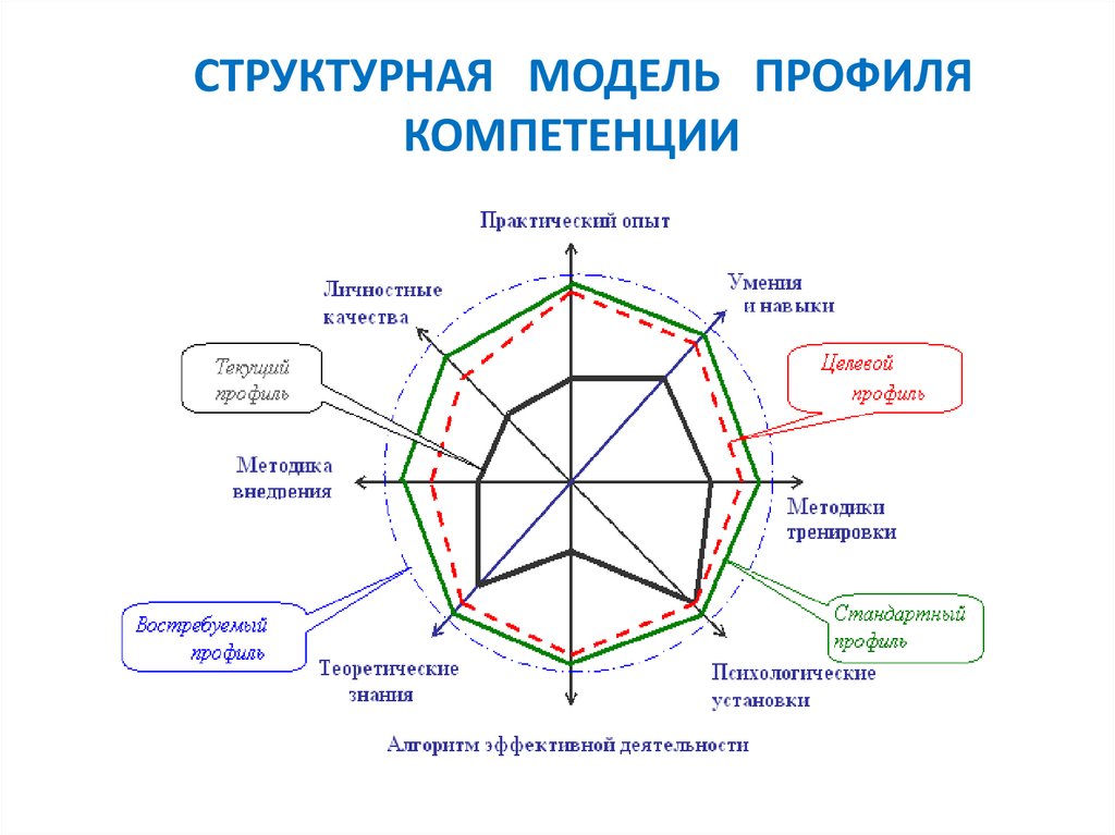 Разработанная модель компетенций